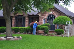 Landscaper